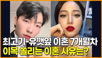 최고기-유깻잎 이혼 7개월차, 이목 쏠리는 이혼 사유는?