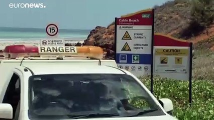 Νέα φονική εμφάνιση καρχαρία στις ακτές της Δυτικής Αυστραλίας