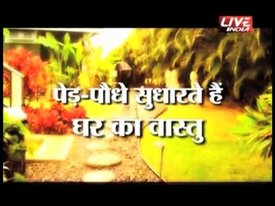 How Trees Work for Us? Vastu Tips for Plantation of Tree