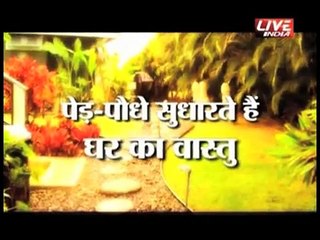 How Trees Work for Us? Vastu Tips for Plantation of Tree
