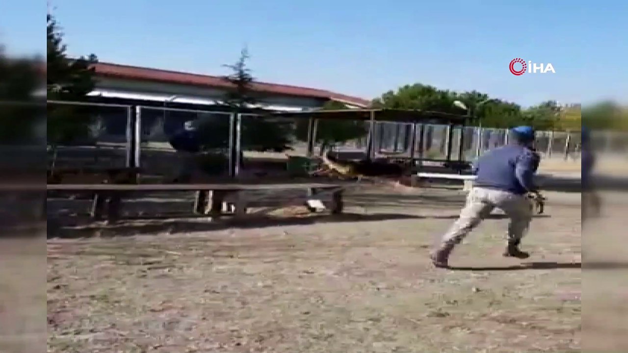 MSB'den 'Onlar bizim can dostumuz' paylaşımı