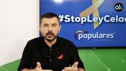 Toni Martín, vicesecretario general del PP Andaluz
