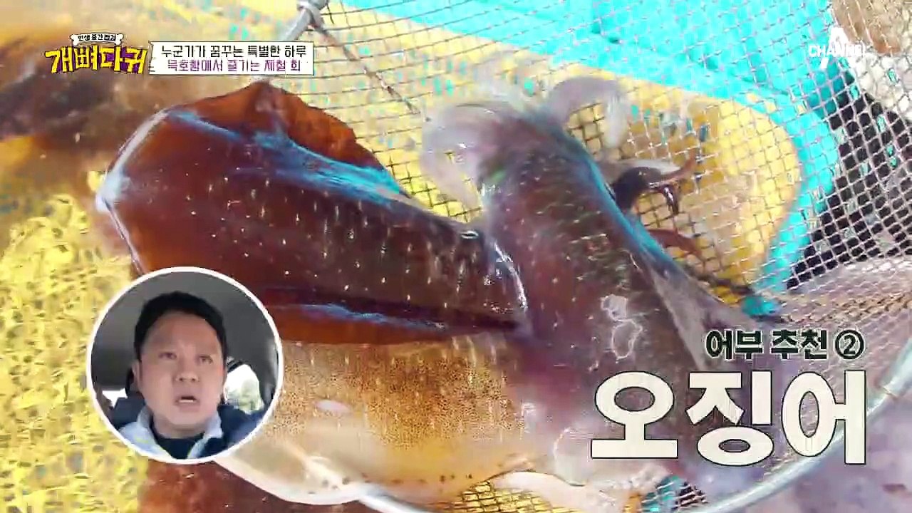 ※도시어부 상렬 추천※ 묵호항에서 즐기는 제철 회, 오늘은 구라가 쏜다?