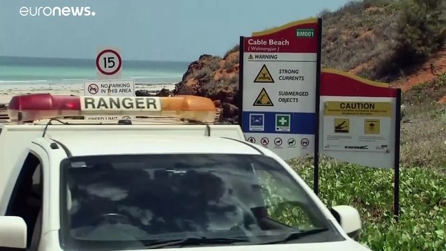 Homem morre após ataque de tubarão quando praticava bodyboard
