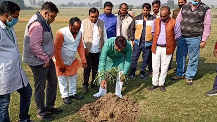गौशाला में विधायक ने लगाए पौधे