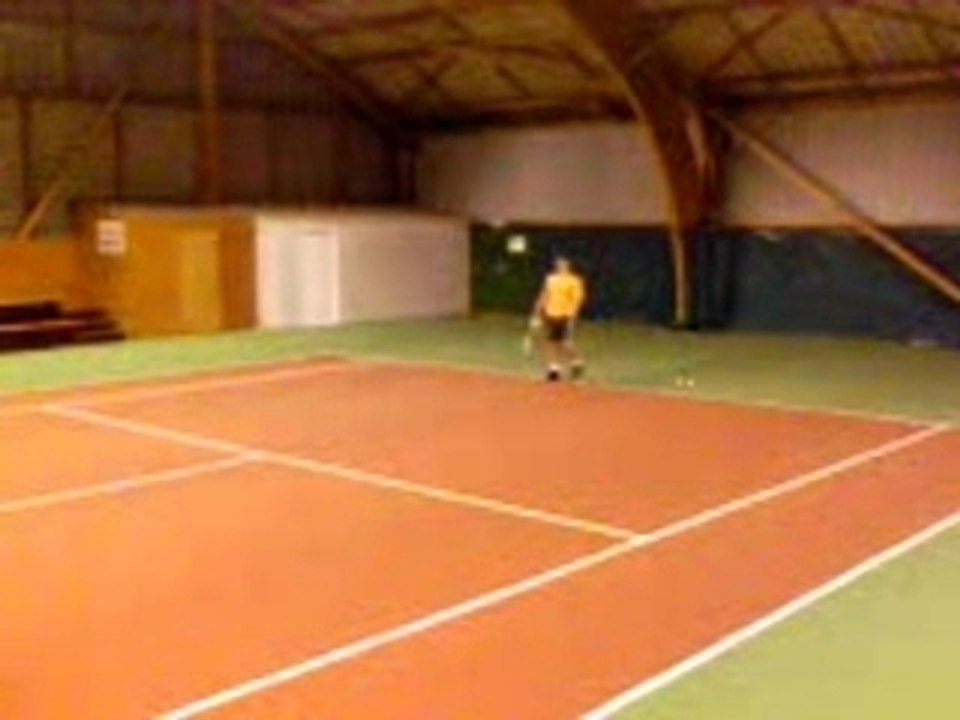 Lezardage de mur