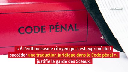 Environnement : le gouvernement va créer un « délit d'écocide »