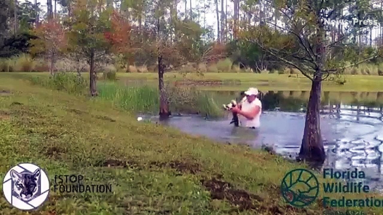 #Viral | ¡Al estilo del cazador de cocodrilos! Hombre rescata a su perro de los filosos dientes de un cocodrilo