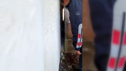 ADIYAMAN - Binaların duvarları arasına sıkışan köpeği itfaiye kurtardı