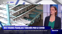 Covid-19: l'abattage de 1000 visons ordonnée dans un élevage d'Eure-et-Loir