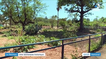 La Réunion : une saison sèche classée au second rang des plus déficitaires depuis 49 ans