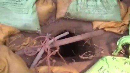 Watch: Days after Nagrota encounter, BSF detects 150-metre long tunnel along the border