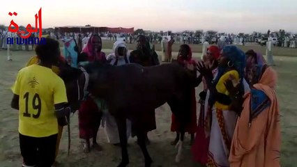 Tchad : la 10e saison de la course hippique lancée au Batha