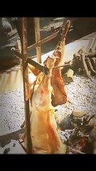 CORDEROS A LA ESTACA LABAMBINA