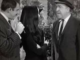 The Addams Family Season 1 Episode 11 The Addams Family Meets The VIPs