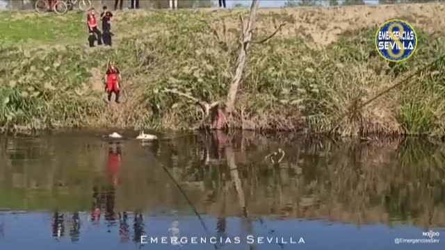 Los bomberos rescatan a un caballo que llevaba varios días atrapado en una zona de fango en Sevilla