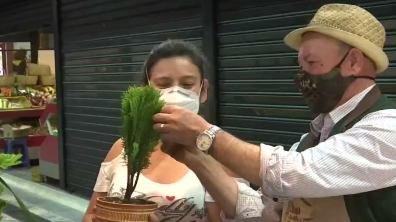 Isaías Arias, el doctor de matas que se ganó el afecto de la plaza La Concordia