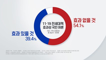 국민 2명 중 1명 "11·19 전세대책 효과 없을 것" / YTN