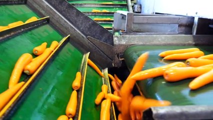 Fruit and vegetable prices to rise due to worker shortage