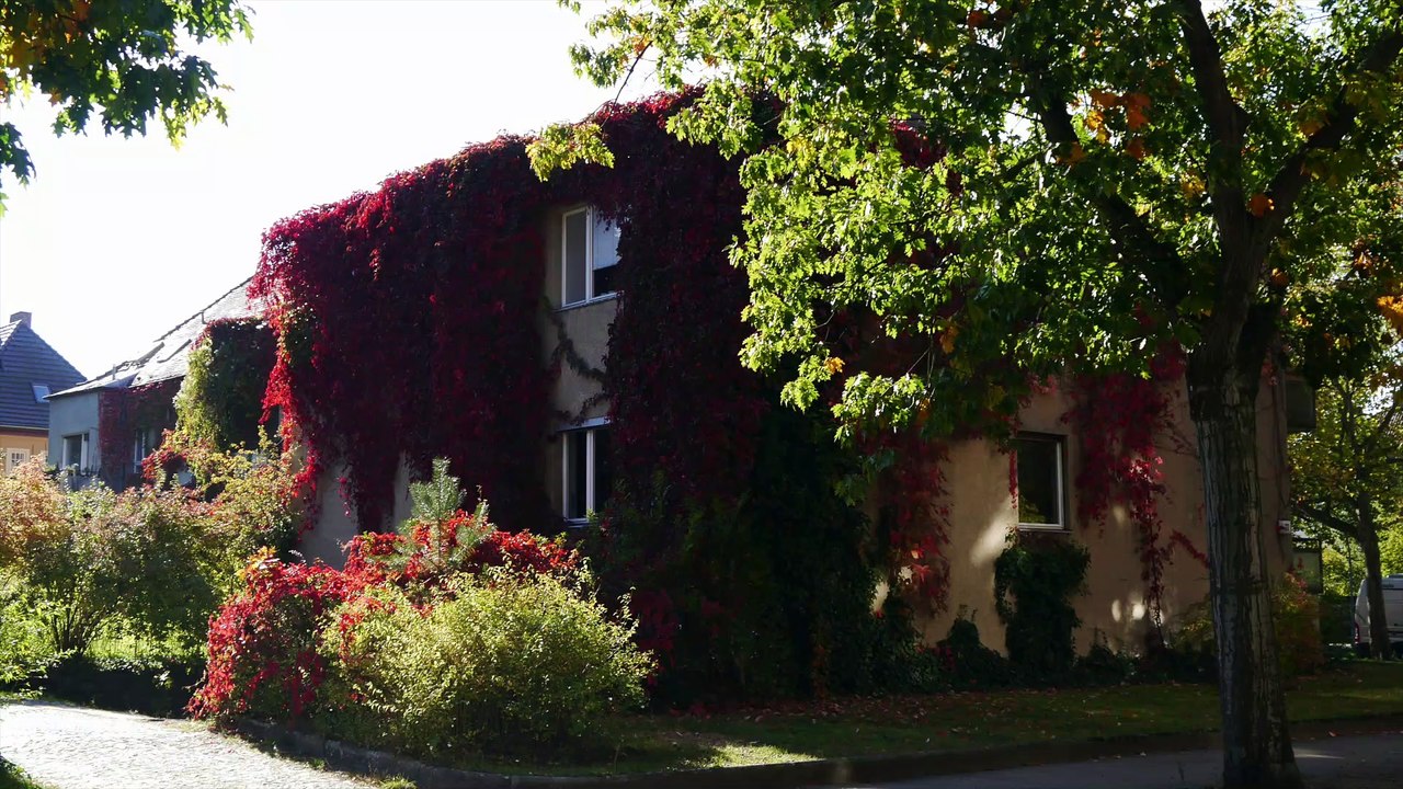 Layaly Ensemle Berlin 2005 Trommel Improvisation