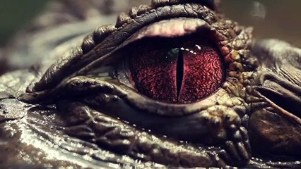 The Loch Ness Monster Documentary movie