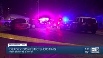 Mesa PD: Man shoots wife and adult daughter then turns gun on himself
