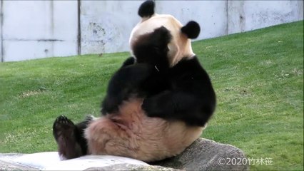 マツコ会議  動画 最新 - Dailymotion［HD 720p高画質］