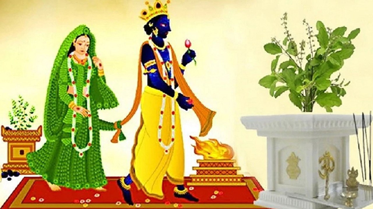 Tulsi Vivah 2020 Date : तुलसी विवाह 2020 | तुलसी विवाह कब है | देवउठनी एकादशी कब है । Boldsky