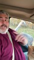 Snappy Ostrich Snatches Finger Instead of Food