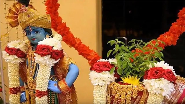 Tulsi Vivah 2020 : तुलसी विवाह विधि । तुलसी विवाह की पूजन विधि । Tulsi Vivah ki Vidhi । Boldsky