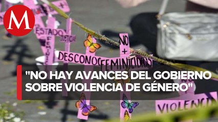 ¿Hay avances tras un año de la alerta de género en la CdMx?: Patricia Olamendi