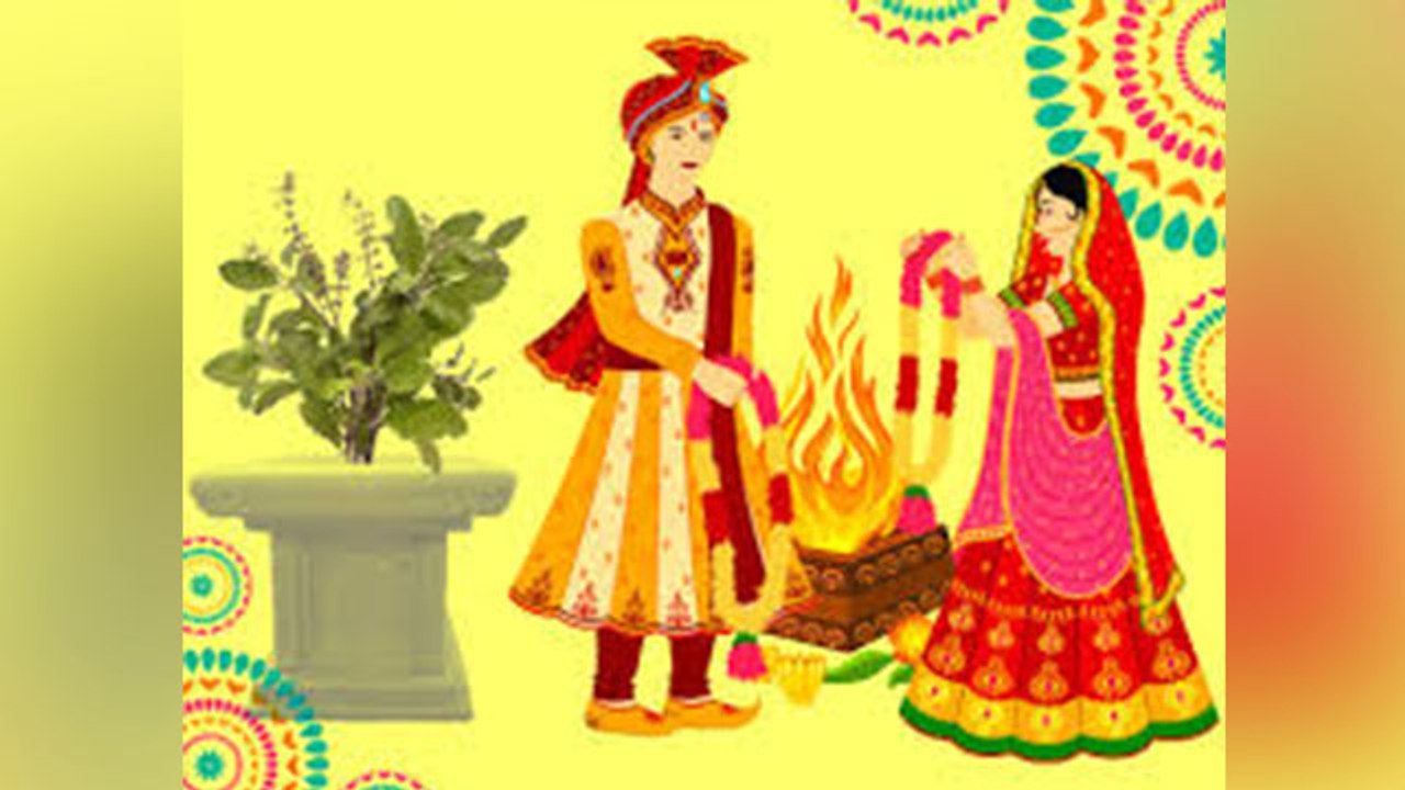 Tulsi Vivah 2020: तुलसी विवाह का महत्व | Tulsi Vivah Importance | Boldsky