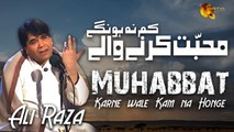 Muhabbat Karnay Waly Kam Na Honge | Ali Raza | Full Song | Gaane Shaane