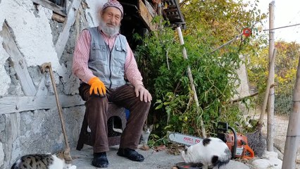 Sahipsiz kedilerin gönüllü bakıcısı