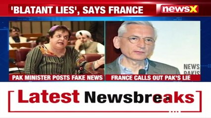 France Retorts To Pak Min 'Nazi' Remark | 'Rectify Despicable Remark'  | NewsX