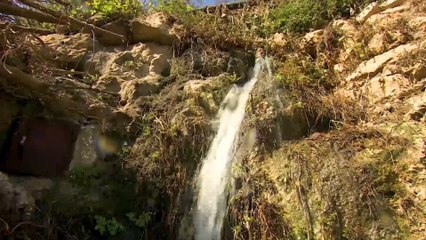 فلسطين.. وادي العيون مقصد سياحي يزدان بإبداعات الطبيعة