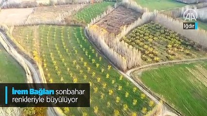 İrem Bağları sonbahar renkleriyle büyülüyor