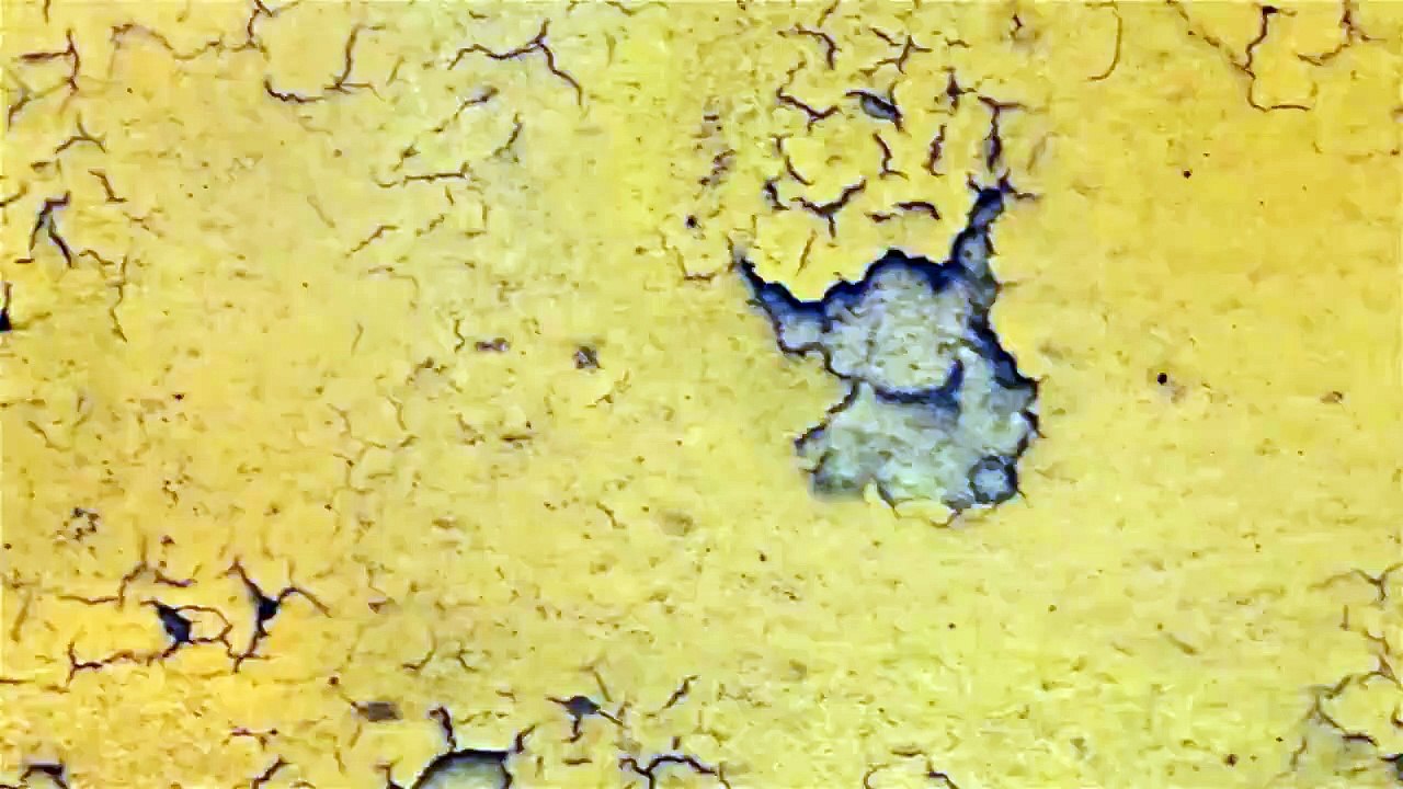 Teaser de "Faites entrer l'accusé"