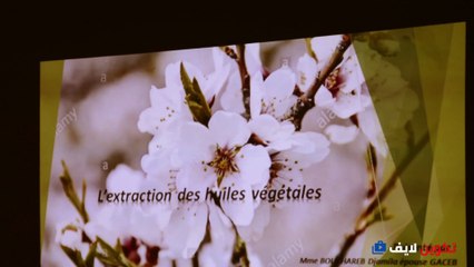 extraction des huiles essentiel et végétale part1