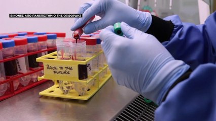 Covid 19: Το εμβόλιο της Οξφόρδης προσφέρει 70% προστασία