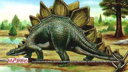 MORNING DU MER 18 11 2020 1