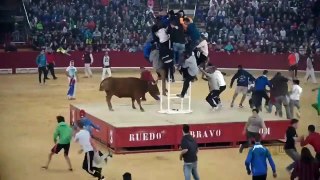 Madly Bull Fight