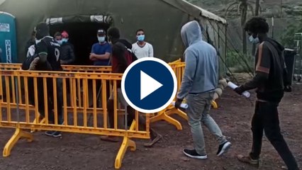 El Gobierno afirma que trabajará "codo a codo" con Canarias