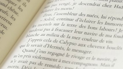 Association Mêtis - Présentation en Images