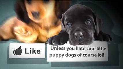 Modern Home Furniture Indian Designs