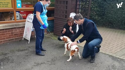 Couple reunited with missing dog which was stolen six years ago