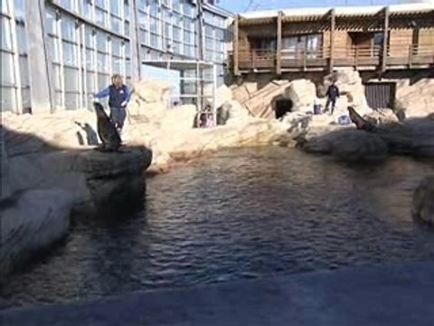 journal 21 fevrier 2008 calaistv jt