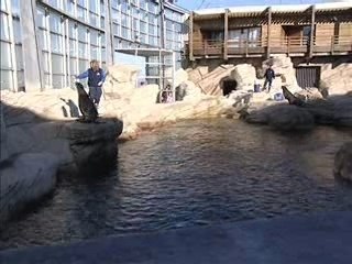 journal 21 fevrier 2008 calaistv jt