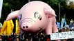Thousands of protesters in Taiwan rally against imports of US pork with controversial additive