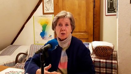 DCW 251120 Gansahirt